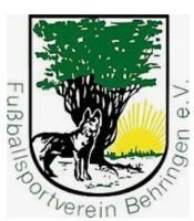 FSV 1968 Behringen vs. FSV Reinhardsbrunn 5 : 2